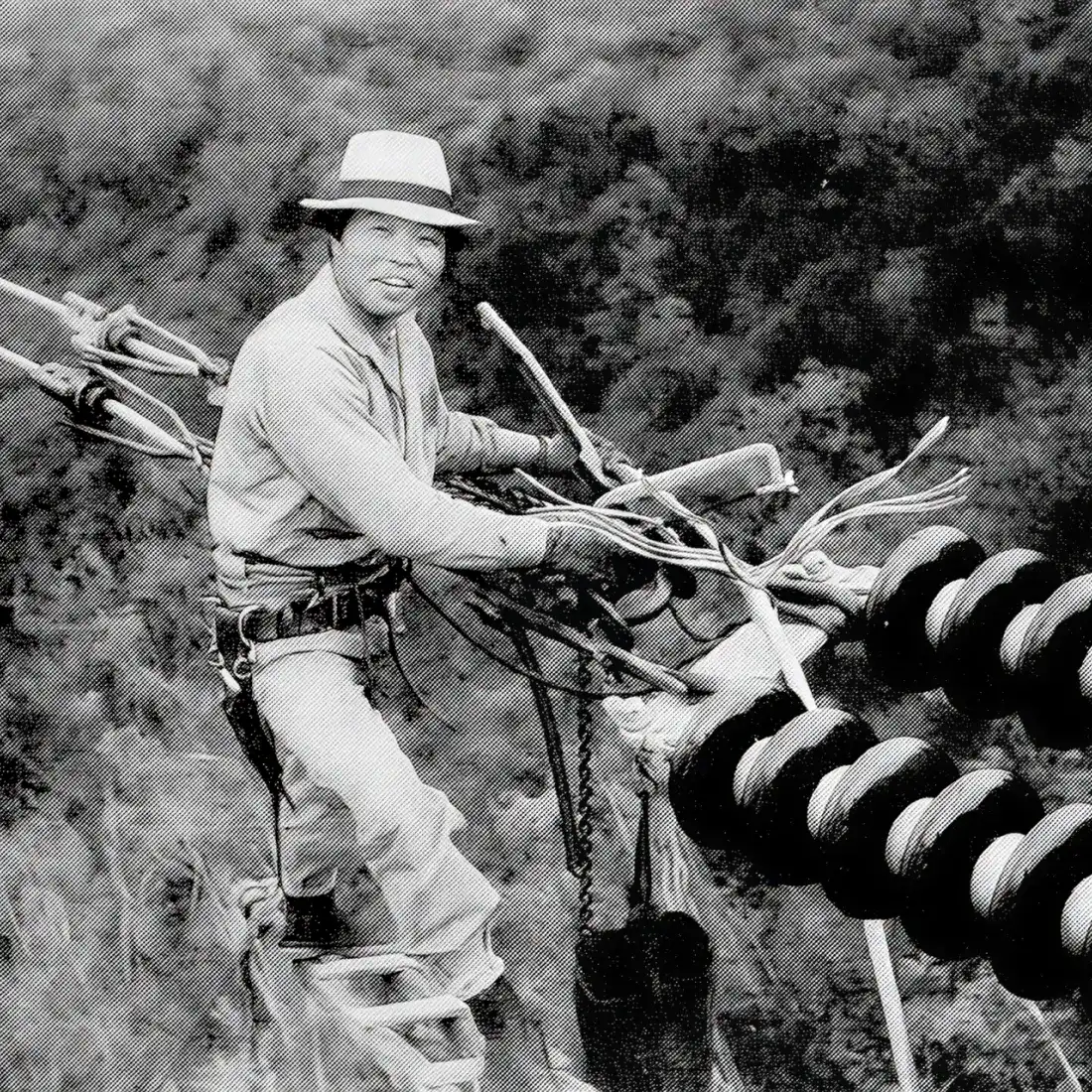 複導体の仮緊線工事